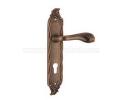 Zinc Alloy Plate Lock - 134-263
