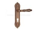 Zinc Alloy Plate Lock - 141-619