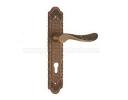 Zinc Alloy Plate Lock - 239-6102