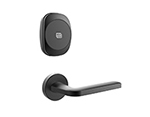 Commercial Smart Lock